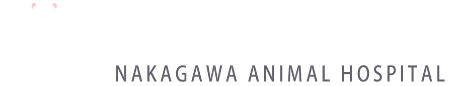 帯広市で犬猫診療なら中川動物病院へ